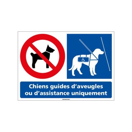 panneau chiens interdits sauf chiens guides d'aveugles - pvc